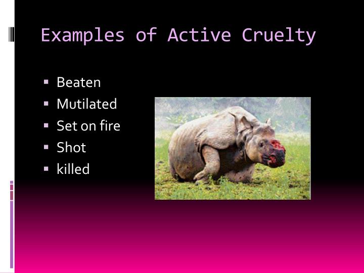 ppt-animal-cruelty-powerpoint-presentation-id-2778644