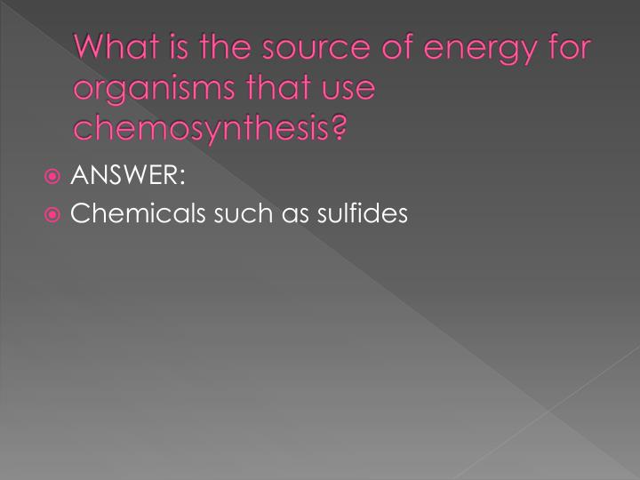which of these communities relies least on chemosynthesis which of these communities relies least on chemosynthesis
