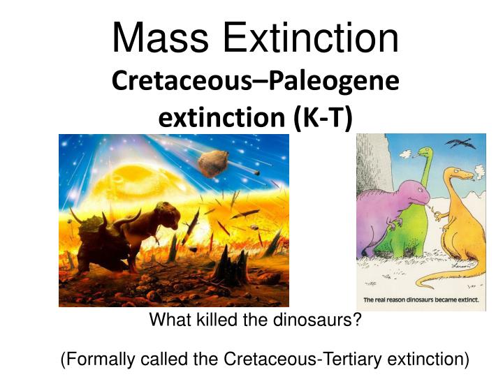 cretaceous mass extinction
