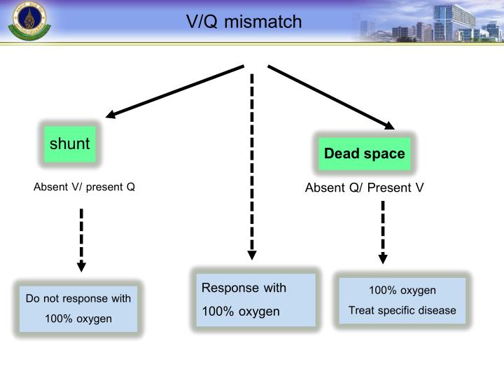 intrapulmonary shunting vs dead space intrapulmonary shunting vs dead space