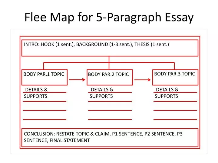 jean piaget essay.jpg