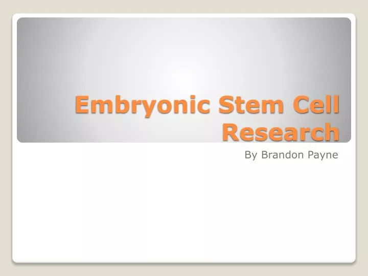 destructive stem cell research essay destructive stem cell research essay