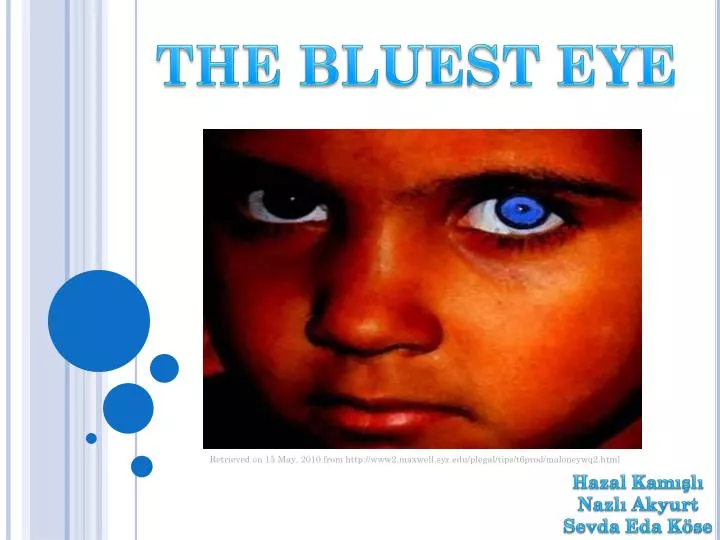 Bluest eye essay