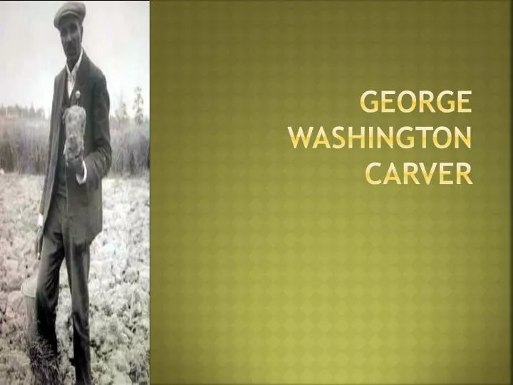 George Washington Essay Paper
