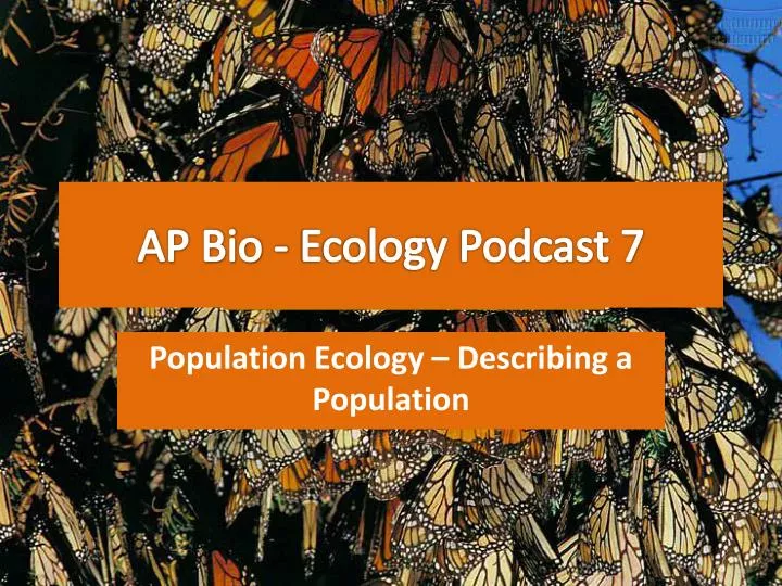 Ecology Essay