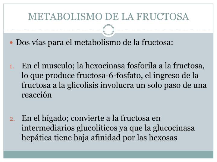 Leer sobre metabolismo lipoproteinas