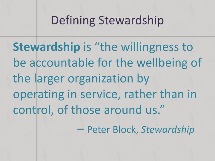 good stewardship definition