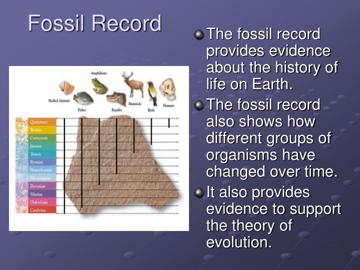 PPT A Trip Through Geologic Time PowerPoint Presentation ID2861466