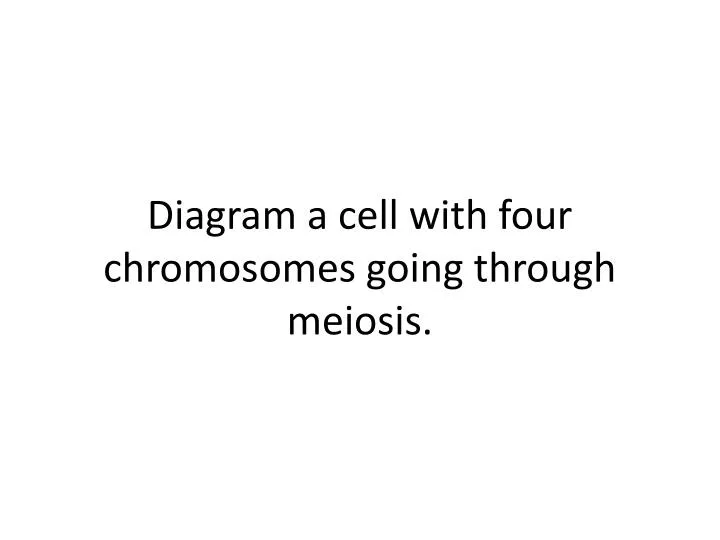 diagram a cell with four chromosomes going through meiosis ppt diagram a cell with four chromosomes going through diagram a cell with four chromosomes going through meiosis ppt diagram a cell with four chromosomes going through