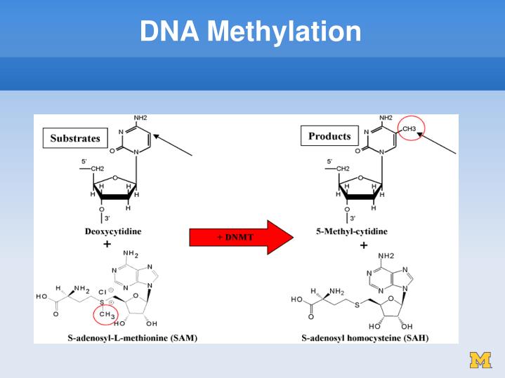 Watch Mitomycin video Watch Mitomycin video