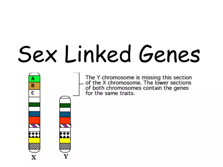 Sex Link Gene 24