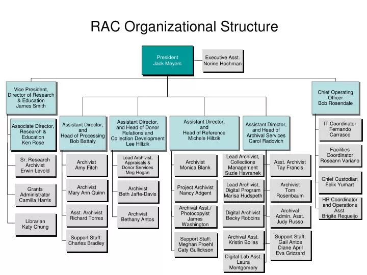 Organizational structure essay