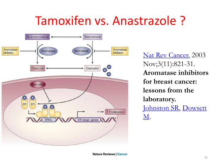 Watch What Are Aromatase Inhibitors video Watch What Are Aromatase Inhibitors video
