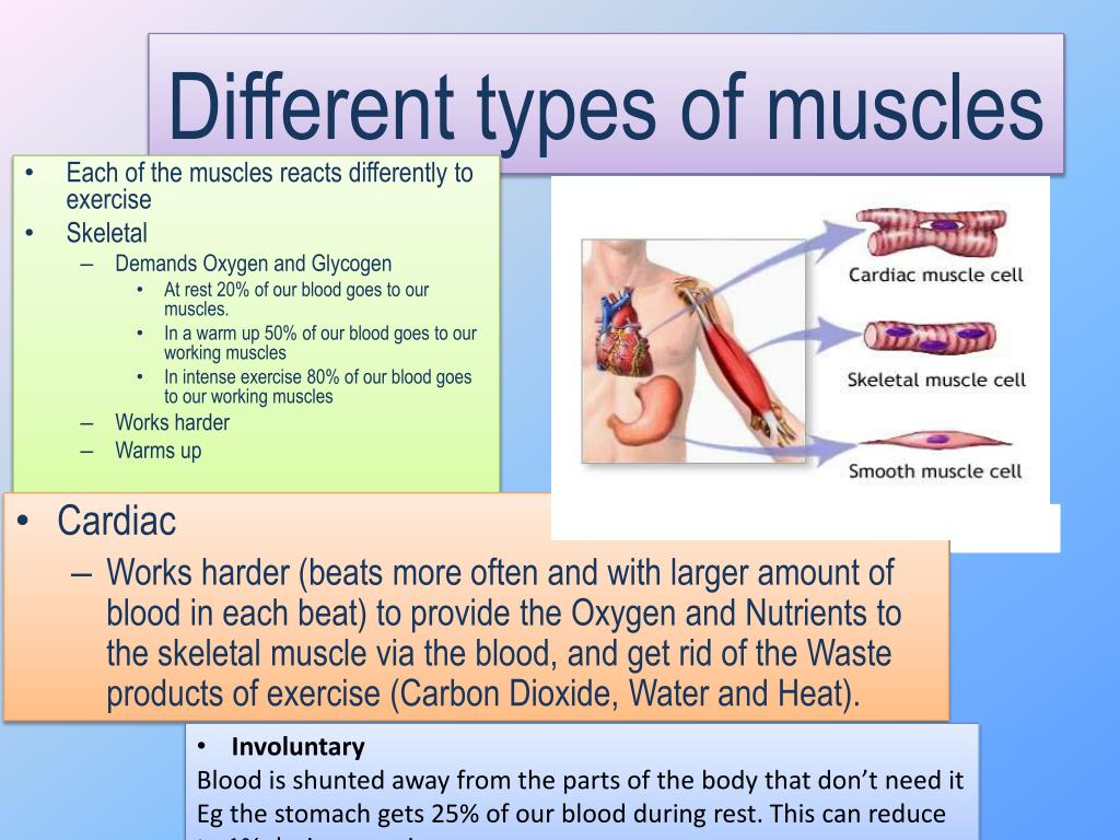 Ppt Acute Short Term Effects Of Exercise Powerpoint Presentation