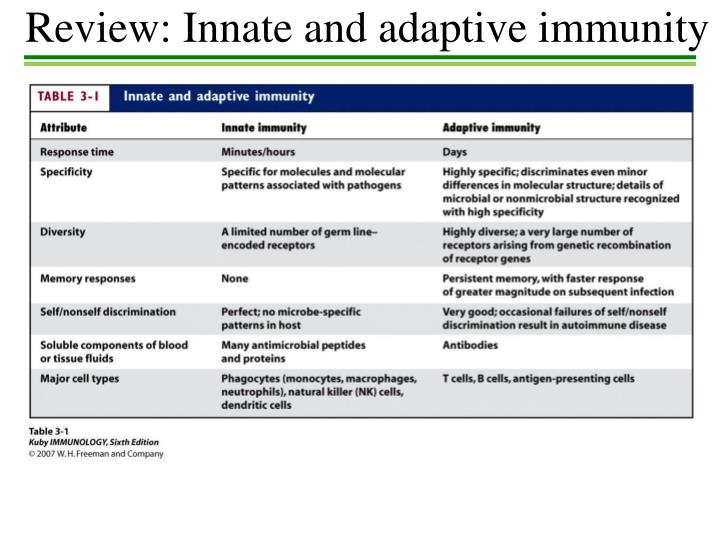 innate immunity