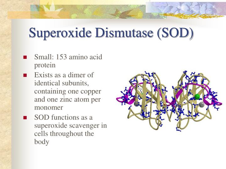 PPT An Investigation of the Interactions Between Zincdeficient and