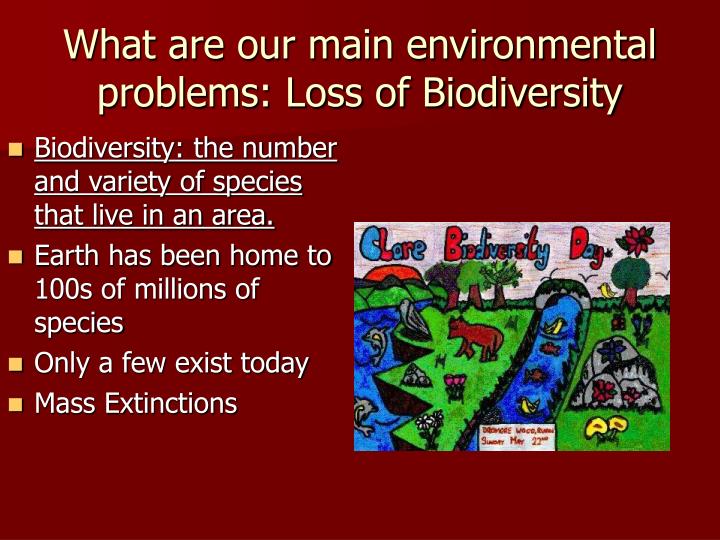 the earths environment and the issues for the biodiversity Almost all the environmental problems we face today can be traced back to the growth rate of 18%, three more people are added to the earth every second. the earths environment and the issues for the biodiversity Almost all the environmental problems we face today can be traced back to the growth rate of 18%, three more people are added to the earth every second.
