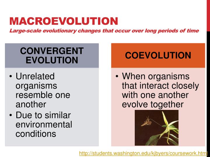 modern evolutionary theory The theory of evolution is the basis of modern biology theodosius dobzhansky , a well-known evolutionary biologist , has said: nothing in biology makes sense except in the light of evolution [10. modern evolutionary theory The theory of evolution is the basis of modern biology theodosius dobzhansky , a well-known evolutionary biologist , has said: nothing in biology makes sense except in the light of evolution [10.