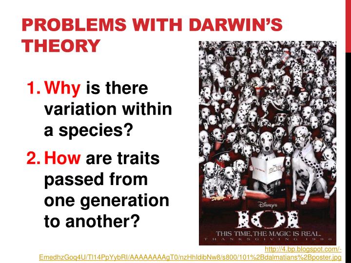 modern evolutionary theory There are a lot of popular misconceptions about evolution this test is designed to see if you understand modern evolutionary theory this test may contain vocabulary. modern evolutionary theory There are a lot of popular misconceptions about evolution this test is designed to see if you understand modern evolutionary theory this test may contain vocabulary.