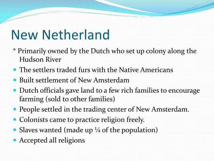 new netherland project findings