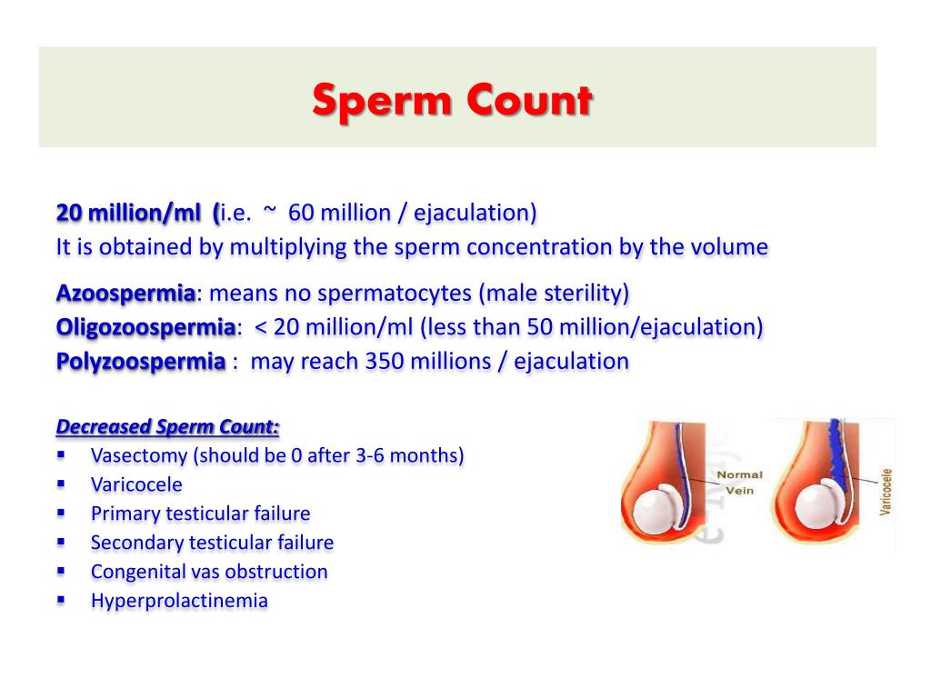 Sperm count result