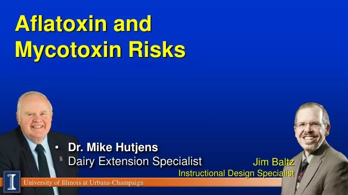risk profile of aflatoxin essay risk profile of aflatoxin essay