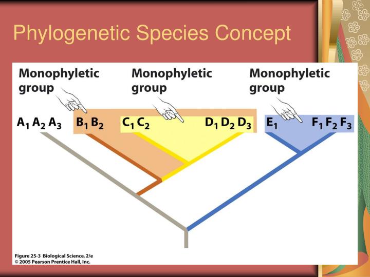 what does phylogenetic species concept do