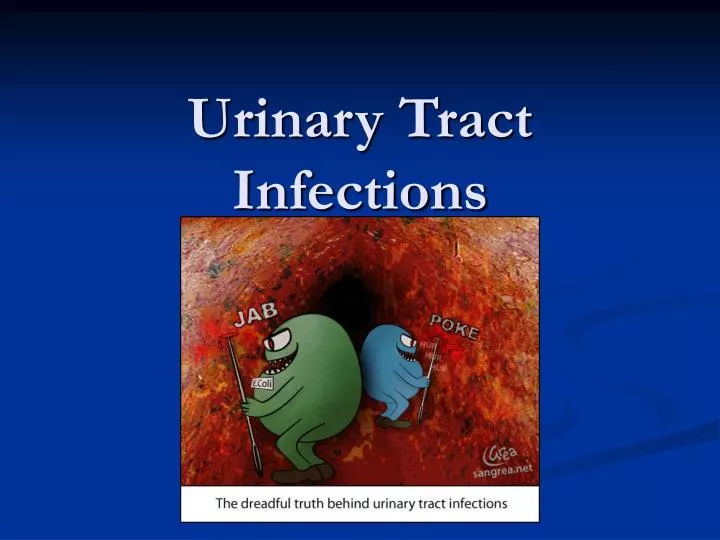 Ppt Prevalence Of Urinary Tract Infections Uti Powerpoint Hot Sex Picture