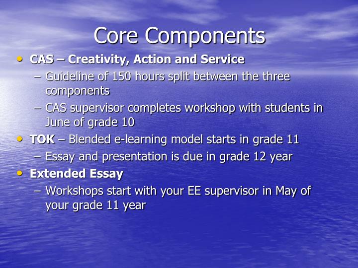 Components Of An Essay