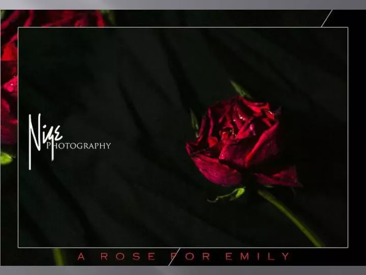 a rose for emily essays Free essay: tracy lancaster english 132 shiggins july,06 2009 in william faulkner's a rose for emily, the symbolism shows more about the. a rose for emily essays Free essay: tracy lancaster english 132 shiggins july,06 2009 in william faulkner's a rose for emily, the symbolism shows more about the.