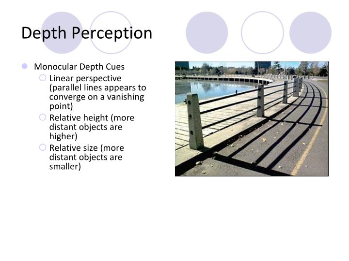 depth perception Successful improvement of two-eyed depth perception with vision therapy. depth perception Successful improvement of two-eyed depth perception with vision therapy.