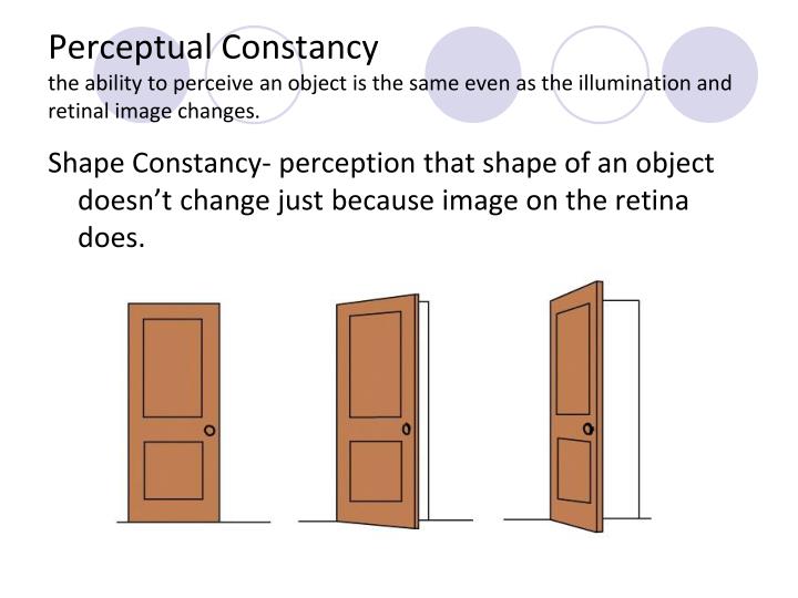 PPT Perception PowerPoint Presentation ID3040128