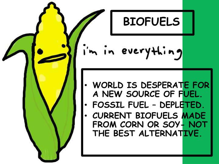 Biofuels The Best Alternative For Fossil Fuels