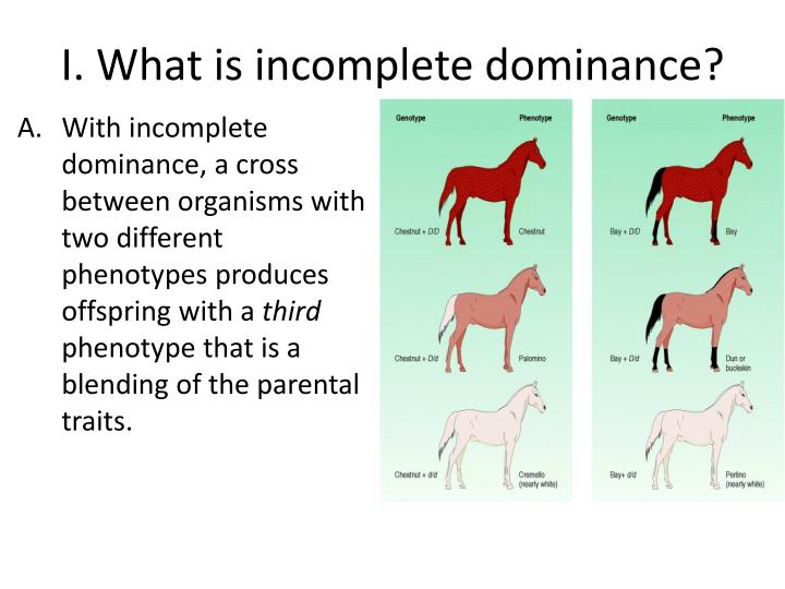 what is the difference between dominance and incomplete dominance