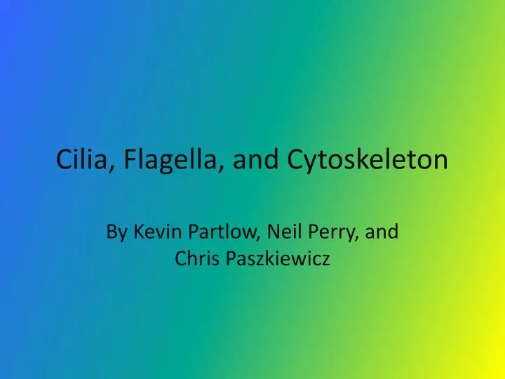 download cephalopods present and past new insights and fresh perspectives 2007