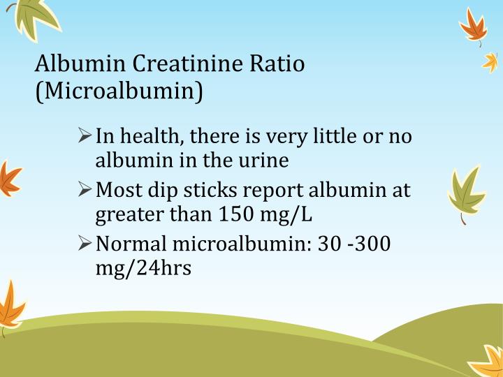 PPT - Interpretation of abnormalities in urine PowerPoint Presentation