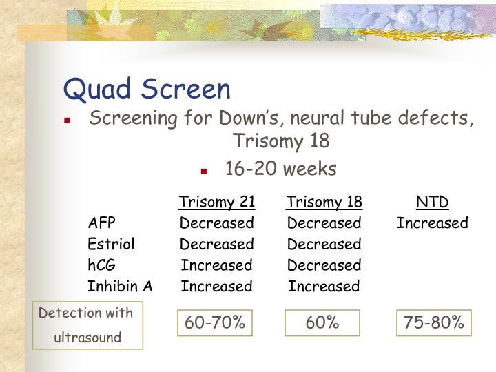 PPT Pregnancy & Prenatal Care PowerPoint Presentation ID3104628 PPT Pregnancy & Prenatal Care PowerPoint Presentation ID3104628