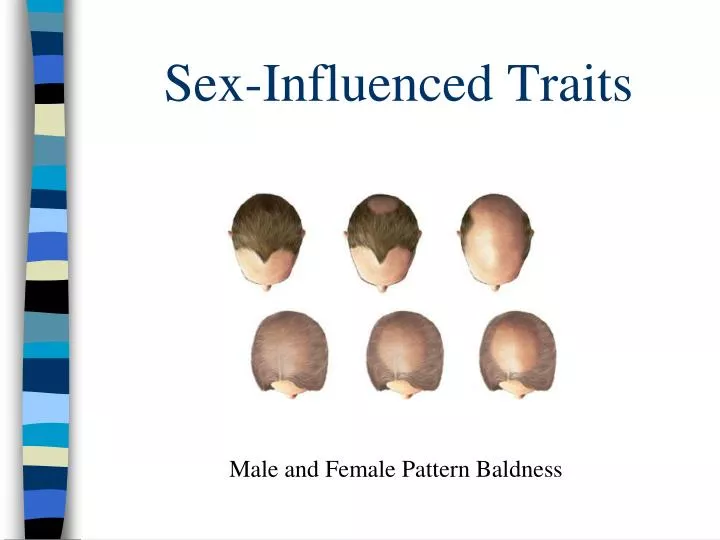 What is a sex influenced trait and sex limited trait