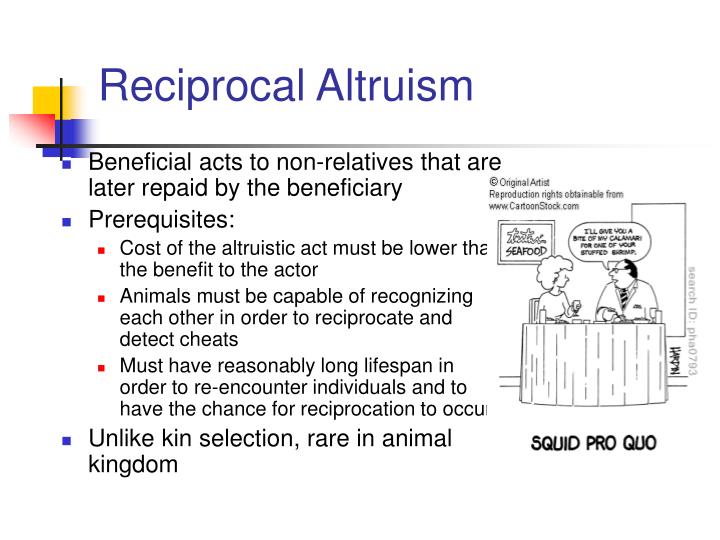 download the ultimate algorithmic trading system