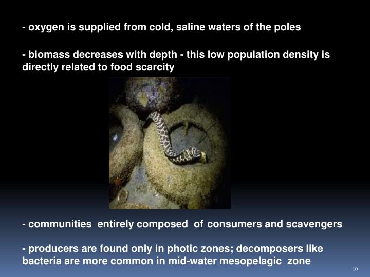 Deep sea producers use chemosynthesis