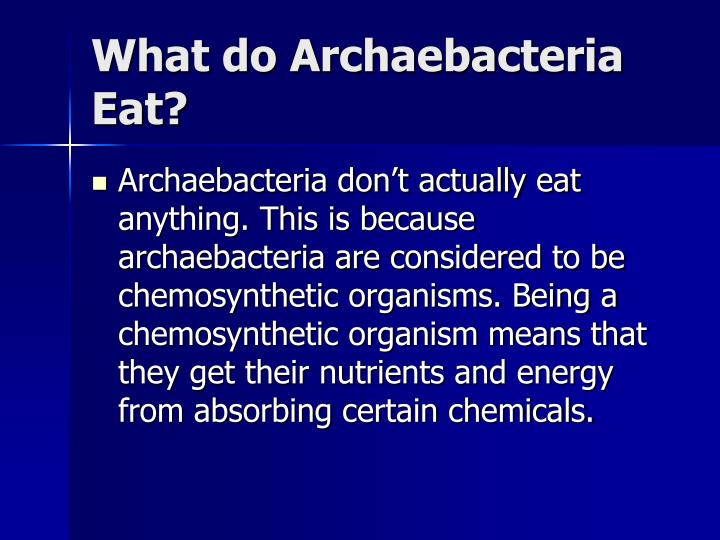 do archaebacteria use chemosynthesis do archaebacteria use chemosynthesis