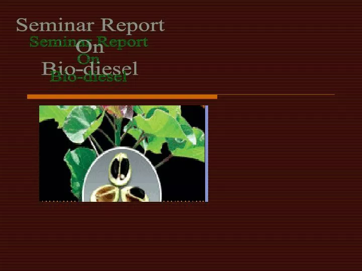 Biodiesel Seminar Report Pdf