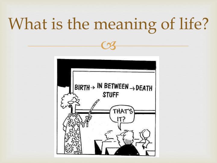 christianity and the meaning of life The purpose of life from a christian perspective what is a through discovery and thinking for yourself, you believe you'll find peace and meaning are you. christianity and the meaning of life The purpose of life from a christian perspective what is a through discovery and thinking for yourself, you believe you'll find peace and meaning are you.