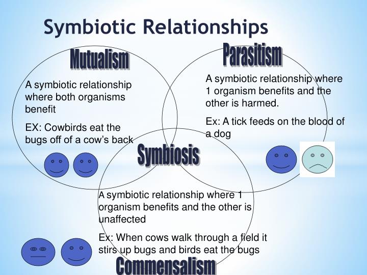 differentiate between symbiotic and symbiosis