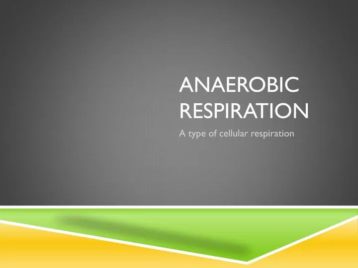 advantages of anaerobic respiration essay The sugar glucose is important because it is necessary for cellular respiration during cellular respiration, the chemical energy in the glucose molecule is. advantages of anaerobic respiration essay The sugar glucose is important because it is necessary for cellular respiration during cellular respiration, the chemical energy in the glucose molecule is.