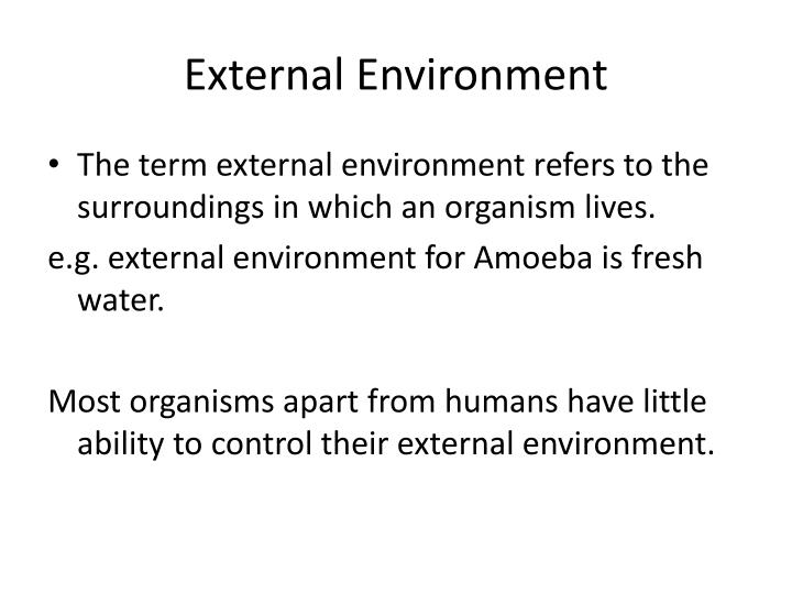 staples external environment A country analysis of china for staples incorporated bonnie handy chris lim miriam (penny) milsom omba 606d university of. staples external environment A country analysis of china for staples incorporated bonnie handy chris lim miriam (penny) milsom omba 606d university of.