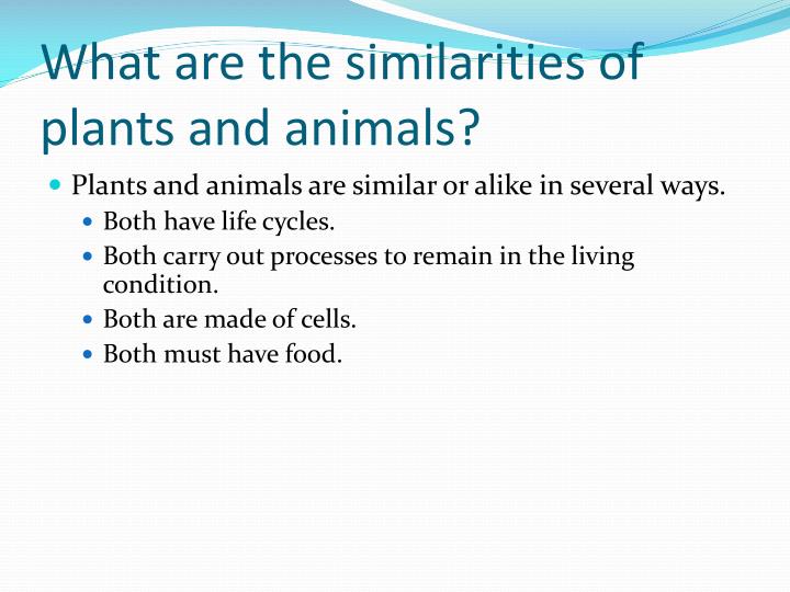 PPT Identifying Differences Between Plants and Animals PowerPoint