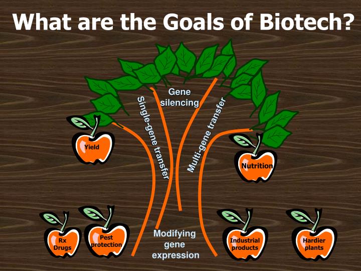 biotechnology goal Biotechnology, at jamestown community college in , and working effectively on projects by themselves or as a team to reach a common goal. biotechnology goal Biotechnology, at jamestown community college in , and working effectively on projects by themselves or as a team to reach a common goal.