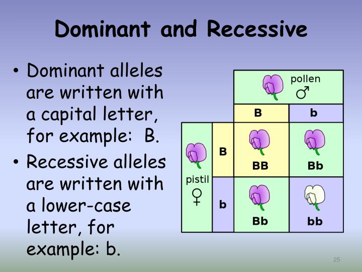 how do you know what gene is dominant