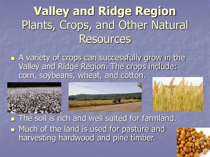 PPT A Journey Through Five Regions PowerPoint